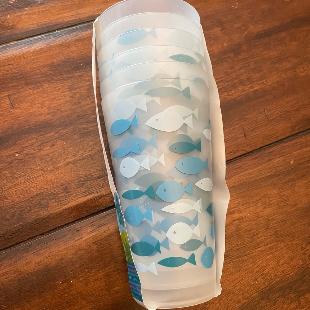 6 Tea Glasses